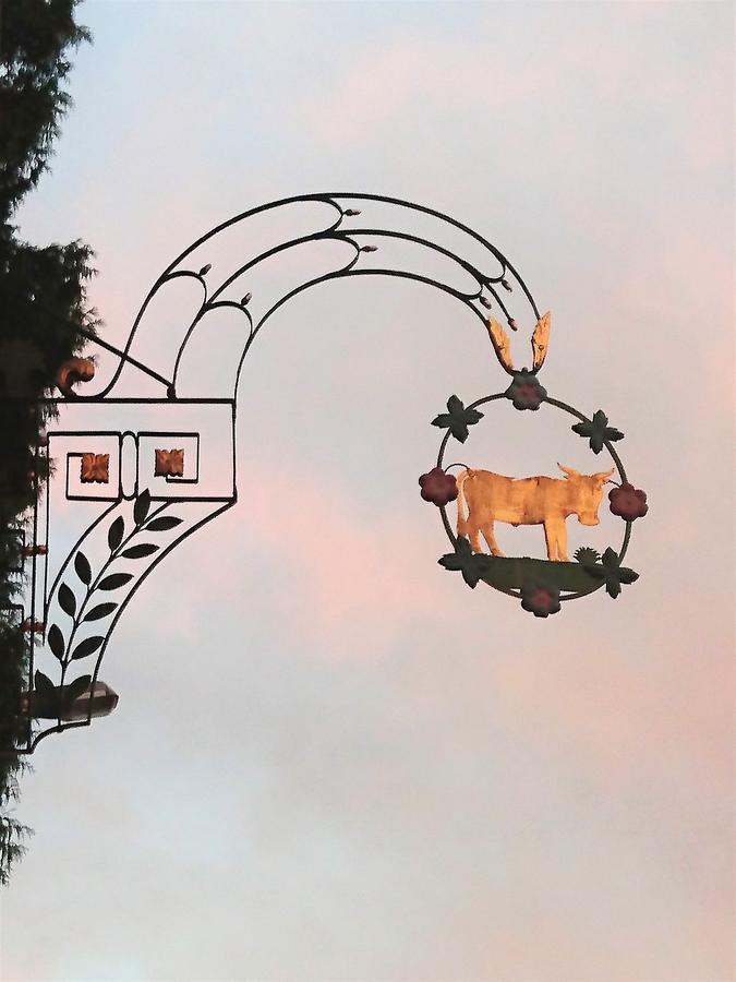 Gasthaus Zum Ochsen Neuhaus المظهر الخارجي الصورة